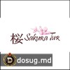 Sakura Tur