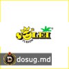 Solei Turism