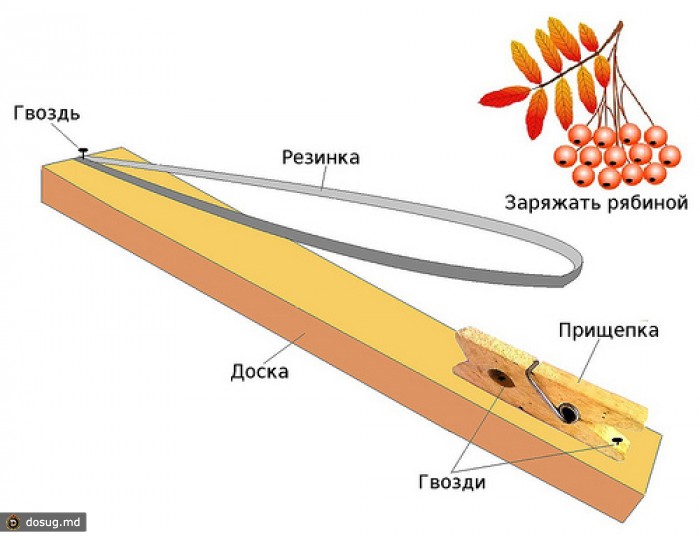 Рогатка