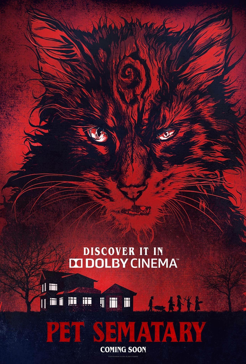 Кладбище домашних животных