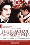 Прекрасная смоковница