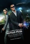 Черная роза
