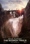 Бегущий в лабиринте: Испытание огнем