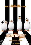 Пингвины Мадагаскара