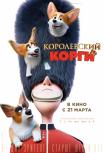 Королевский корги