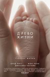 Древо жизни