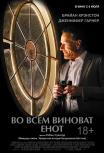 Во всем виноват енот