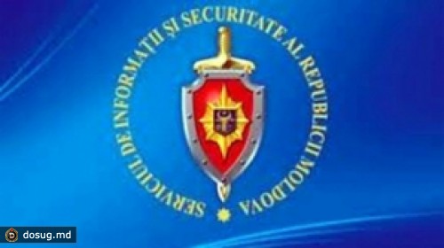 «Семен Никулин не причастен к действиям, входящим в компетенцию СИБа»