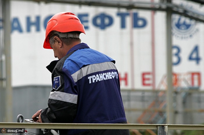 «Транснефть» создала компанию для охраны трубопроводов