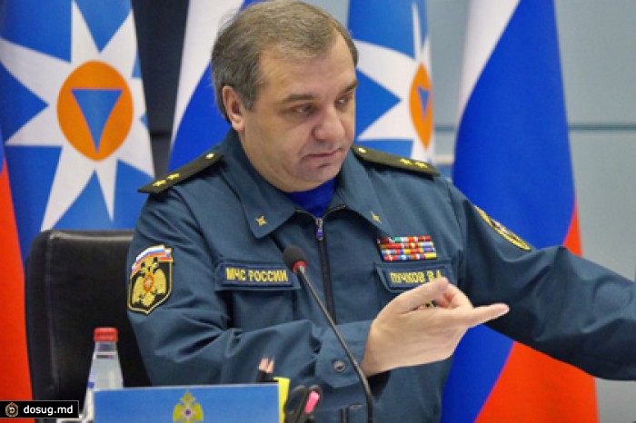 «Гринпис» назвал главу МЧС виновником пожаров в Хакасии