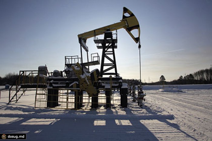 «Роснефть» вложит в Арктику 500 миллиардов долларов