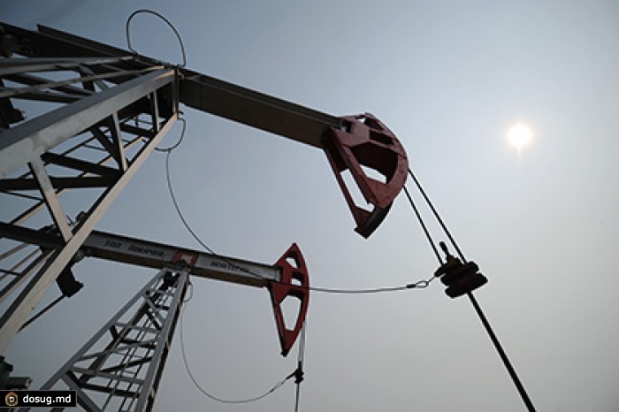 «Русь-Ойл» попросила изменить способ продажи Гавриковского нефтяного месторождения