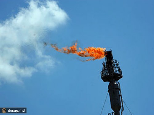 "Газпрому" и "Роснефти" отдадут все приглянувшиеся им участки на шельфе