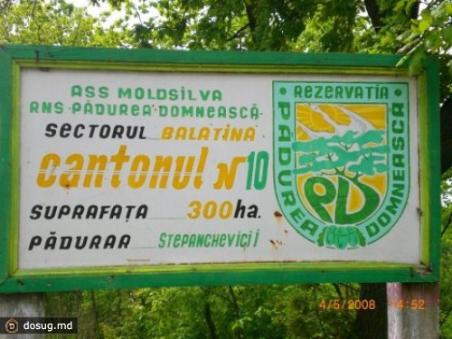 
 "Молдсилва" и МВД спорят о законности охоты
