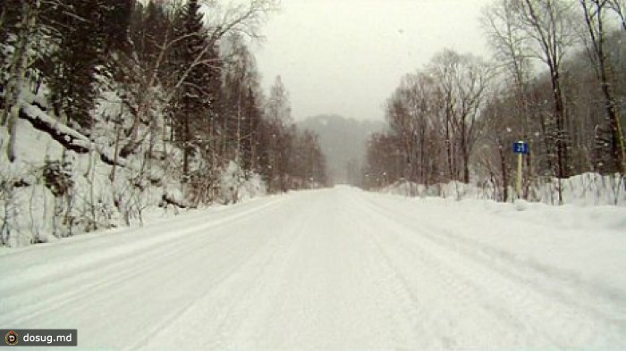 12 школьных автобусов не смогли отвезти учеников в школы из-за последствий снегопадов