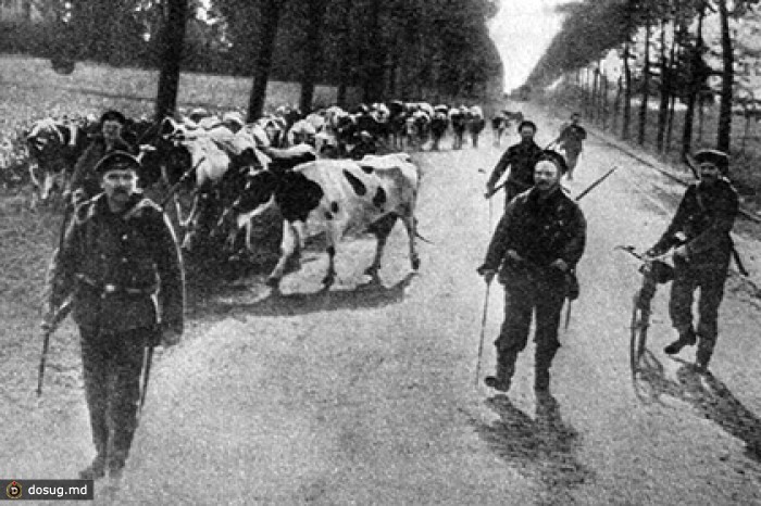 1914. Жены германских офицеров грабят русские дома в Сувалках