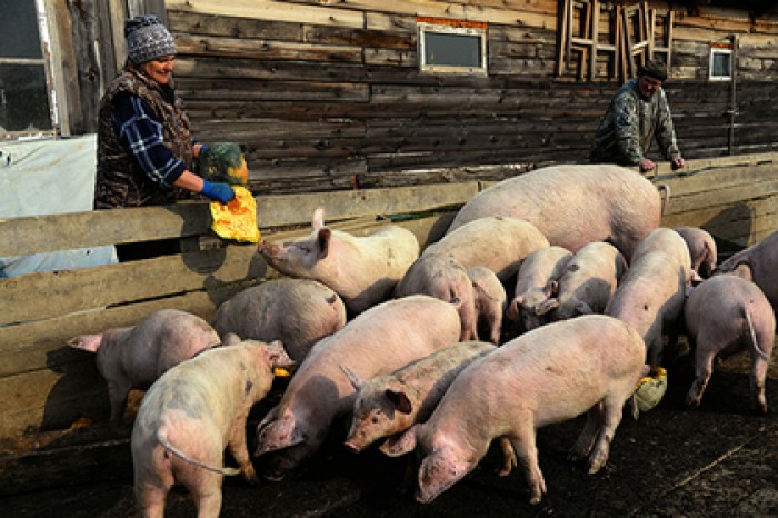 Корпорация МСП представила комплексный продукт поддержки фермеров