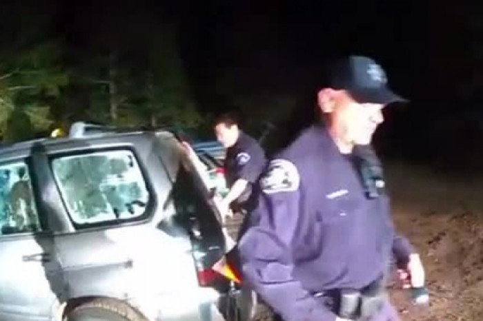 Медведь заперся в автомобиле и принялся бибикать