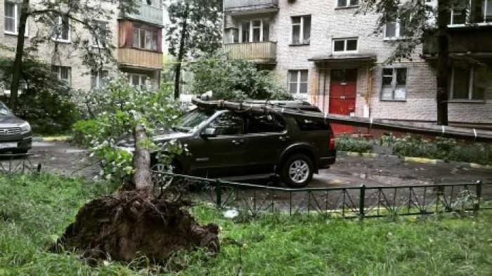 Москву накрыла свирепая буря: последствия стихии глазами очевидцев