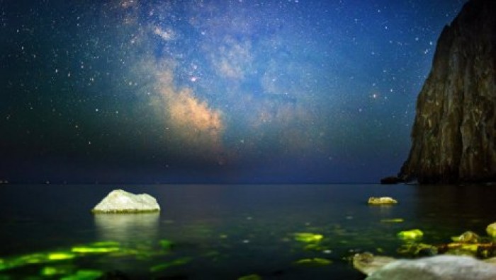 Побережье Байкала захватывают опасные водоросли