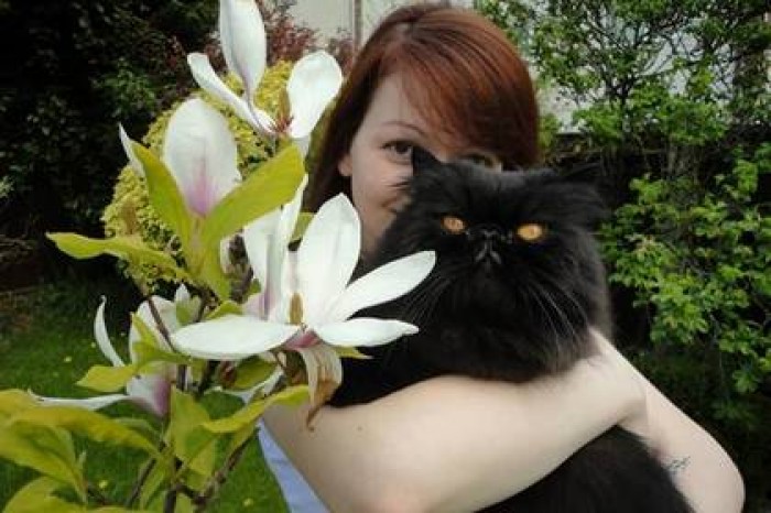 «Россия 24» рассказала о сожжении кота Скрипаля из огнемета