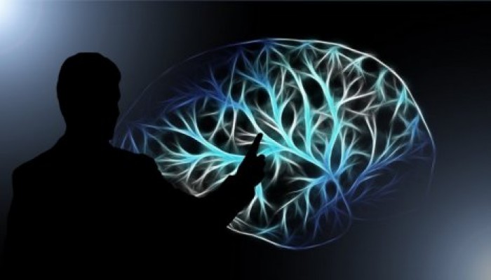 Специалисты говорят, что нашли способ узнать воспоминания после смерти