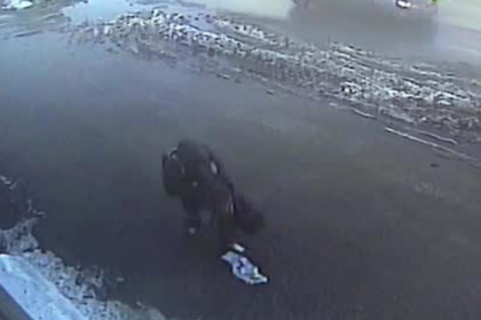 Тамбовский медвежатник рассыпал украденные миллионы и попал на видео