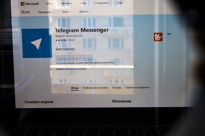 Роскомнадзор подсчитал потери Telegram