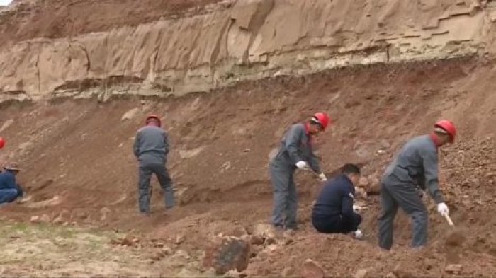 В Китае нашли музыкальные инструменты возрастом 4 тысячи лет