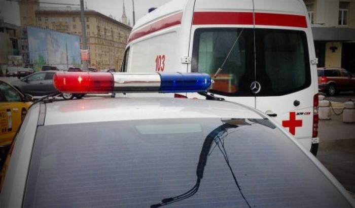 В Петербурге домашняя собака искусала младенца