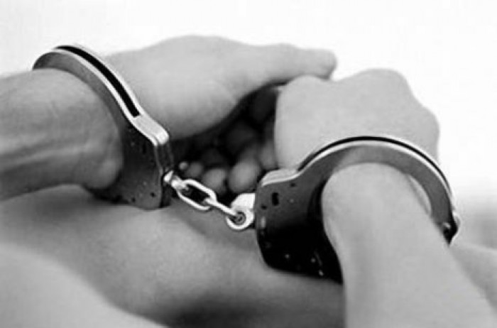 Житель Омска убил пожилую мать за любовь к коту