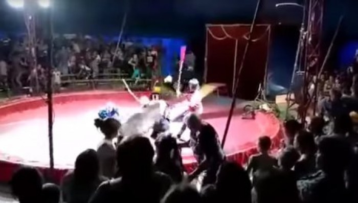 Медведь напал на дрессировщика во время выступления в цирке