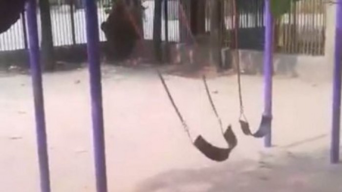 Пойманный на качелях "призрак" попал на видео
