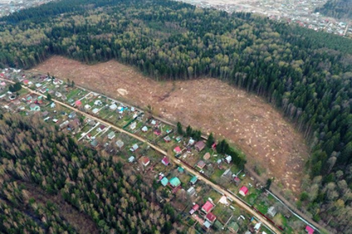 Свыше 700 многодетных семей получили землю в Подмосковье