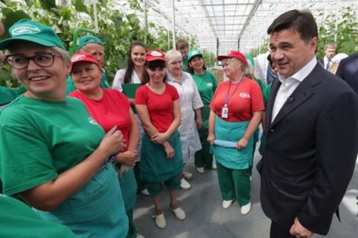 Воробьев пообещал вывести регион на самообеспечение овощами
