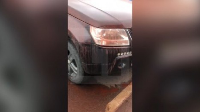 Названа причина "кровавого дождя" в Норильске
