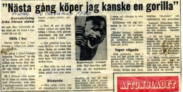 "Из-за моего дедушки обезьяны в Швеции оказались вне закона": история одной необдуманной покупки