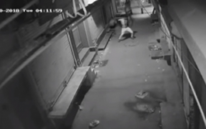 Танец вора перед взломом попал на видео