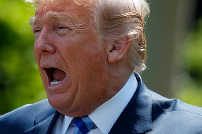 Трамп стал лицом ЛСД