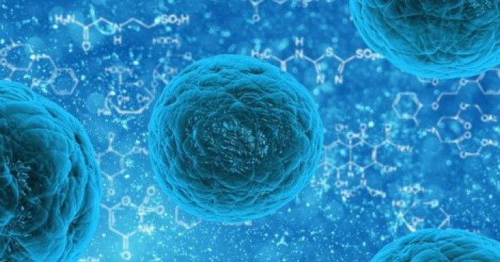 Ученые рассказали о смертельных инфекциях будущего