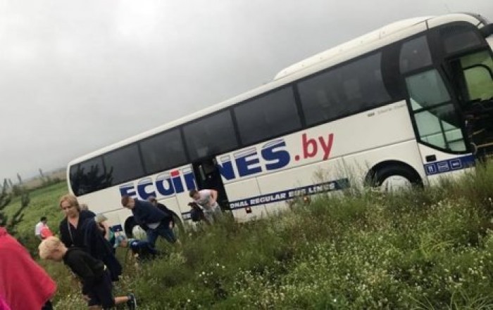 Уснул за рулем: под Киевом автобус с детьми вылетел в кювет