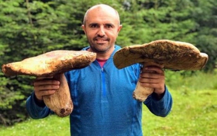В украинских Карпатах собрали гигантские грибы