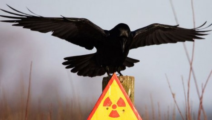 Аэропорт Будапешта временно закрыли из-за контейнера с радиоактивными изотопами из России