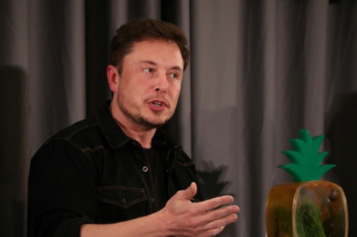 Акционеры Tesla подали в суд на Илона Маска из-за твитов