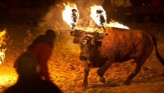 Бык с горящими рогами напал на девушку во время выступления в Испании