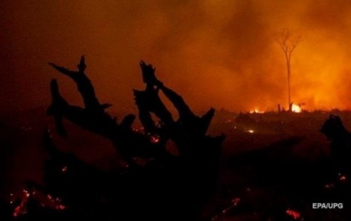 После грозы в Канаде появились более 140 очагов лесных пожаров