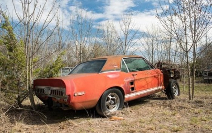 Ржавел в саду около 20 лет: найден уникальный Mustang, исчезнувший в 1968 году