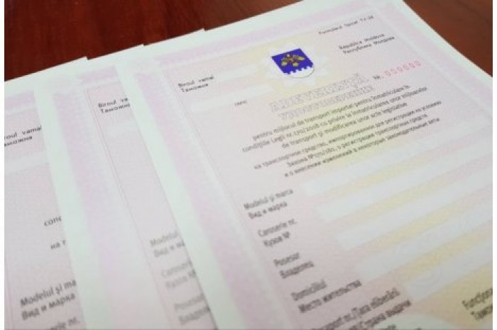 Нейтральные номерные знаки можно будет получить на основании типового бланка