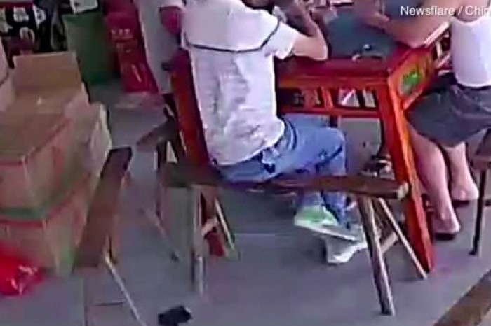Пес аккуратно похитил кошелек и попал на видео