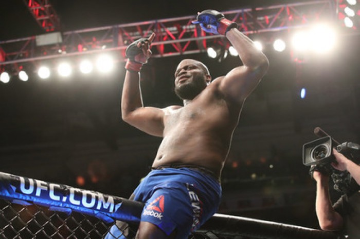 Американец Льюис нокаутировал россиянина Волкова на UFC 229